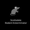 rodentextermina
